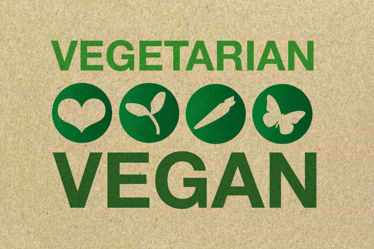 Vegetarian Vegan Dining Etiquette